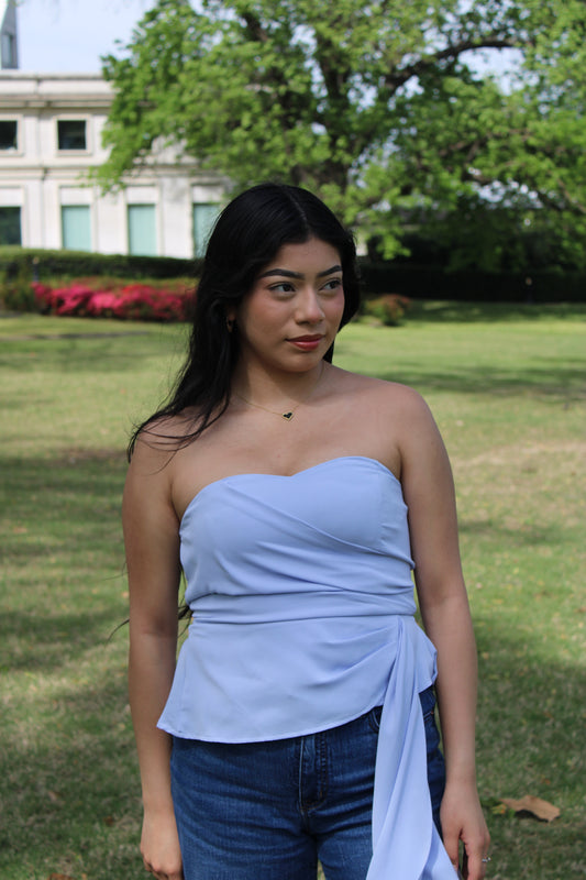 ADINA - TOP